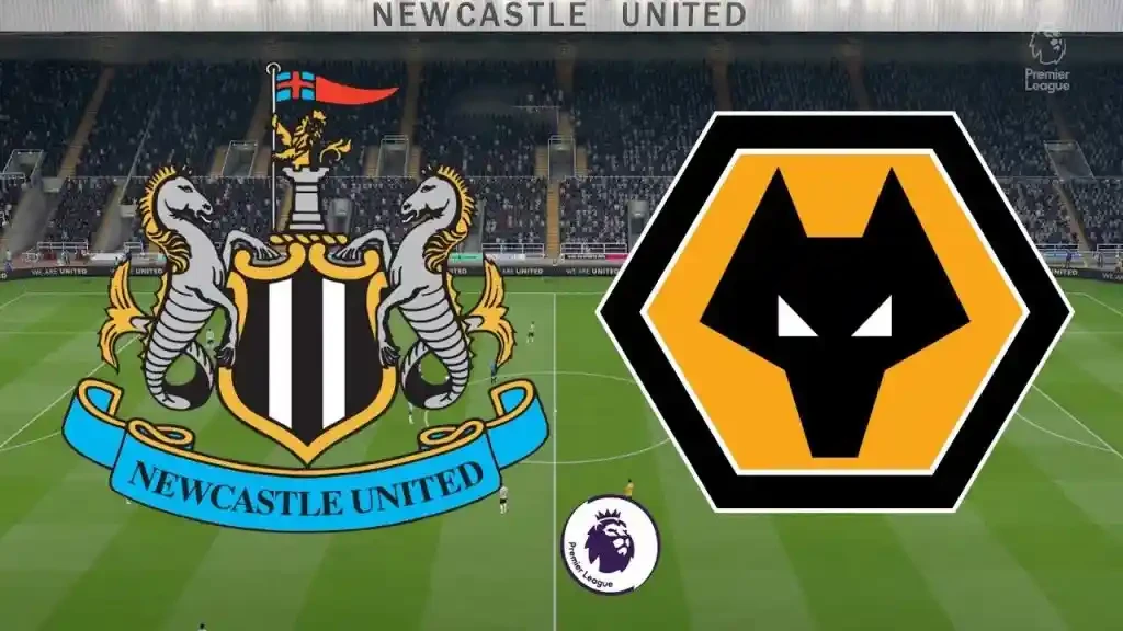 ONE88 Nhận định bóng đá Newcastle vs Wolves - 21h00 27/10/2019