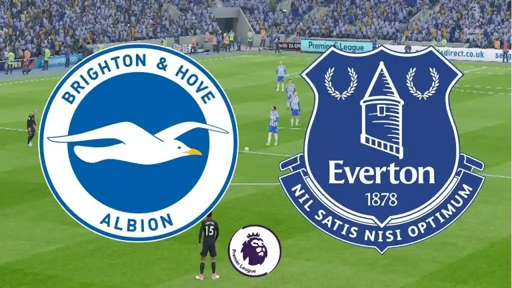 ONE88 Nhận định bóng đá Brighton vs Everton - 21h00 26/10/2019