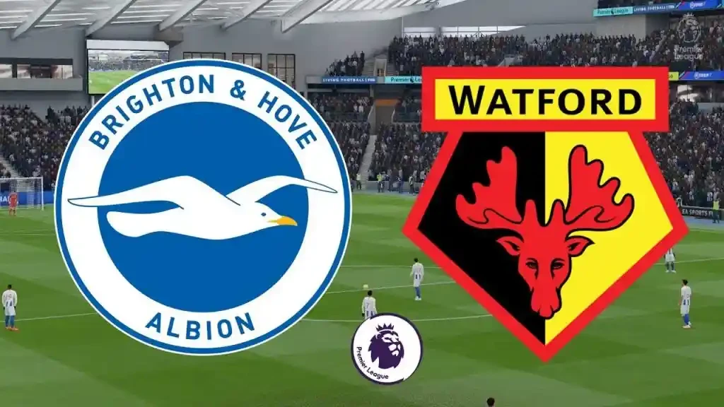 ONE88 Nhận định bóng đá - Anh - Brighton vs Watford - 00h30 09/02/2020