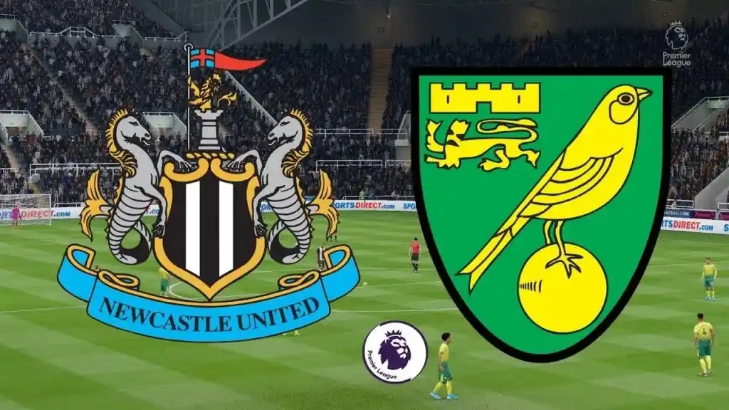 ONE88 Nhận định bóng đá Newcastle vs Norwich - 22h00 01/02/2020