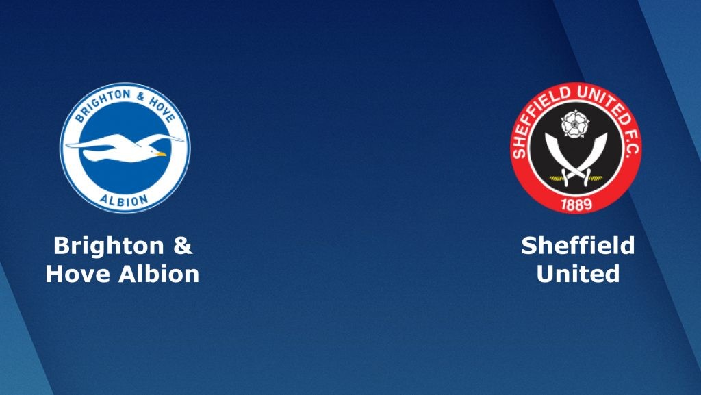 ONE88 Nhận định bóng đá Brighton vs  Sheffield Utd - 22h00 21/12/2019
