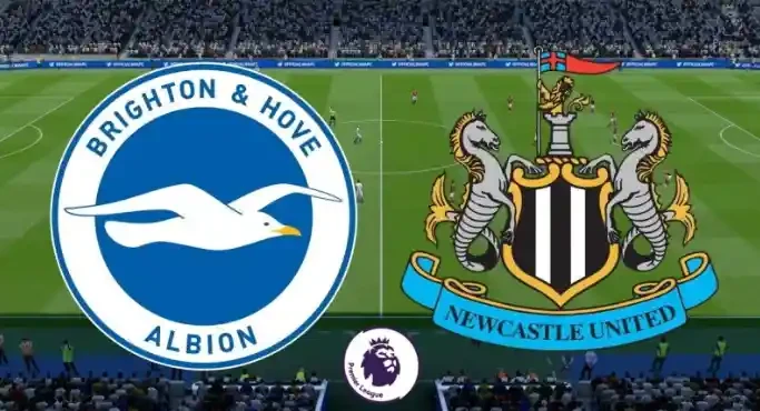 ONE88 Nhận định, Soi kèo bóng đá – Anh – Brighton vs Newcastle – 00h00 21/07/2020