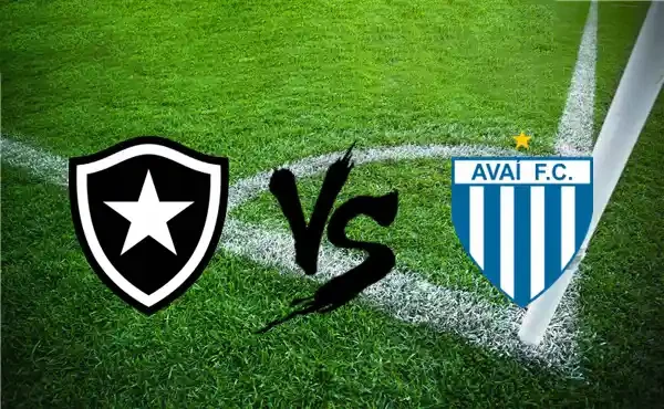 ONE88 Nhận định bóng đá Botafogo vs Avai - 06h00 12/11/2019
