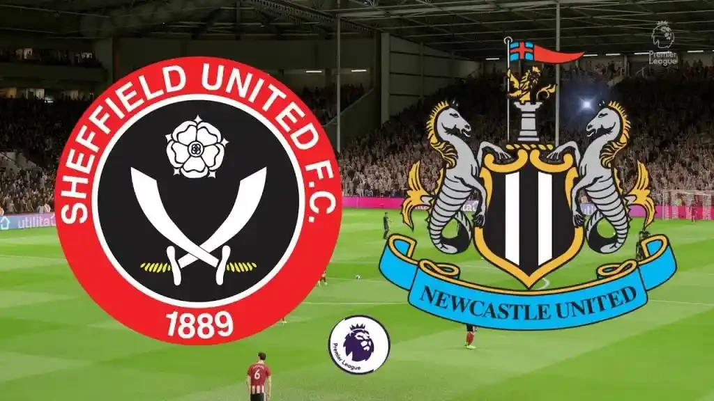 ONE88 Nhận định bóng đá Sheffield Utd vs Newcastle - 02h30 06/12/2019
